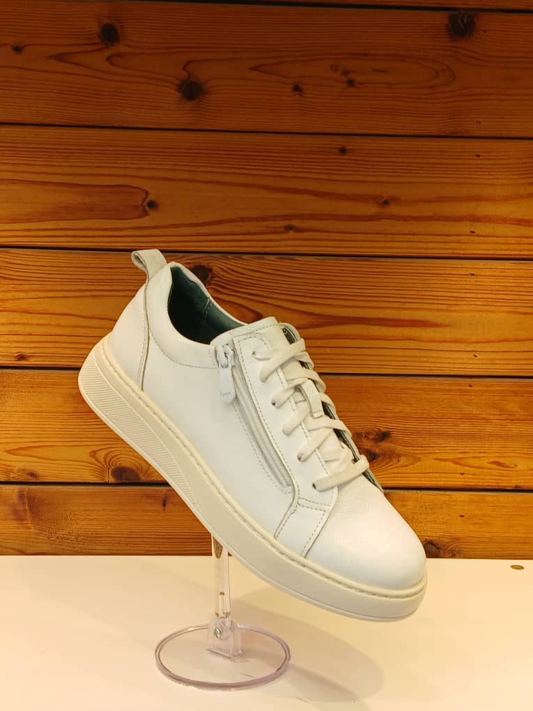 WhatsApp Image 1404-08-28 at 10.27.44 (1)